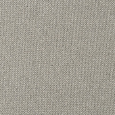 Premium Grey [+$499.99]